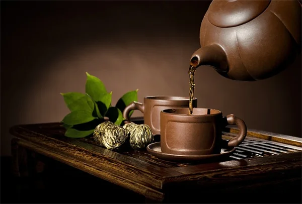 エキナセア収穫のコツ：お茶・チンキに使う実践ガイド