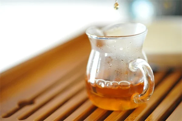 萱草とアイリス、日陰でも育つ？実は花が咲くんです！私の体験談と育て方のコツ